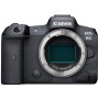 Nikon EOS R8 Kit