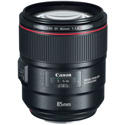 Nikon FE 70-200mm f/2.8 GM II